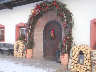 Ferienwohnung am Baby & Kinderbauerhof Stefflhof - Saalfelden am Steinernen Meer - 2