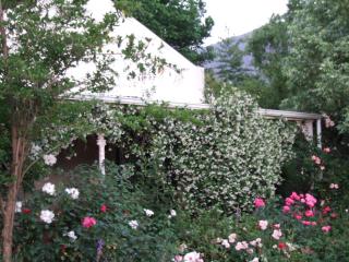 High Hopes - Greyton - 7