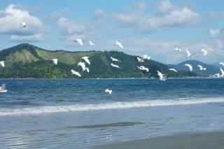 Hotel Torremolinos - Ubatuba - 2