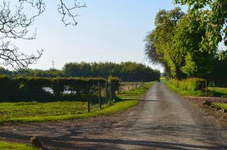 La Ferme du Bois Quesnoy - Saint-Pol-sur-Ternoise - 1