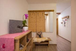 Alpenchalet Zillertal - Hippach - 1