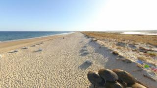 Excellent Golden Apartment - Cabanas de Tavira - 8