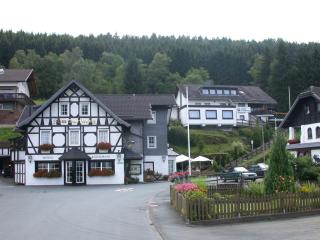 Hotel-Restaurant Zum Dorfkrug - Winterberg - 9