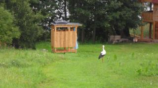 Guest house Oaze - 6