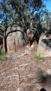 Windswept Country Retreat - 7