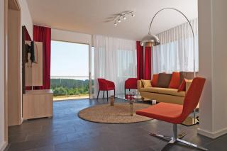 Schwarzwald Lodge Rothaus - Grafenhausen - 8