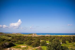 Ariadne Apartments - Pafos - 9