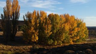 Middelfontein Farm - Sutherland - 3