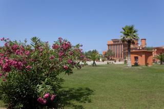 Toscana Sport Resort - Tirrenia - 4