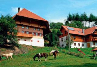 Schwoererhof - Schweighausen - 1
