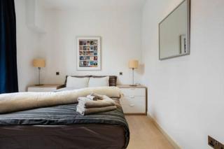 Hyde Park Apartment (SS1) - Londra - 8