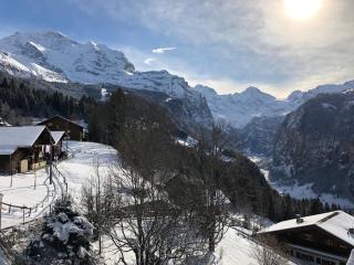 Chalet Bergkristall - Wengen - 7