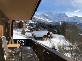 Chalet Bergkristall - Wengen - 3
