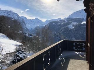 Chalet Bergkristall - Wengen - 1