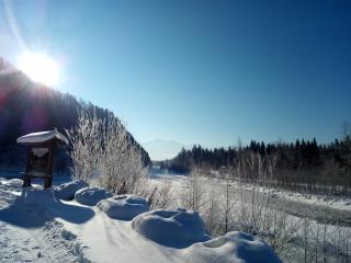 Uschi's Steinröschen - 3