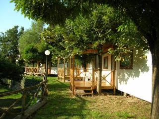 Campeggio Pian Dei Boschi - Pietra Ligure - 1