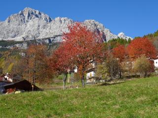 Hotel Garnì posta - Forno di Zoldo - 5