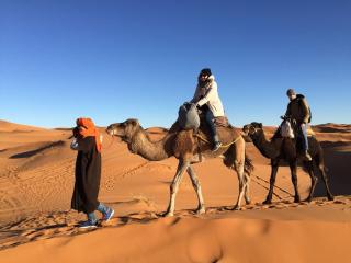 Sahara camel tours camp - Merzouga - 0