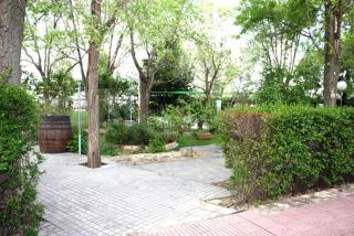 Hostal El Palomar - Tomelloso - 1
