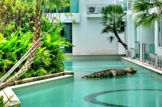 Amazon Pattaya Jomtien Apartments - 1