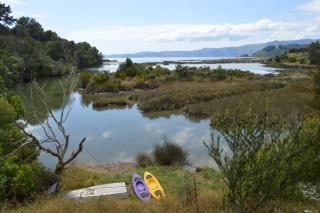 Sunrise Cabin at First Light Rangihaeata Retreat - Takaka - 9