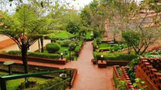 Kodai Resort Hotel, Kodaikanal - Kodaikānāl - 6