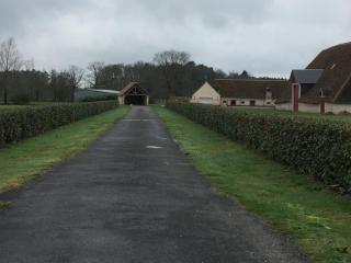 La maison des canards - Romorantin-Lanthenay - 1