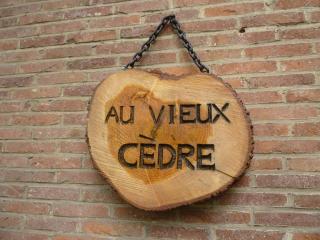 au vieux cèdre - 5