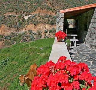 Casa rural El Coronel - Tejeda - 0