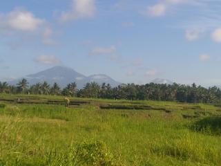 Ibu Ana Homestay - Tabanan - 3