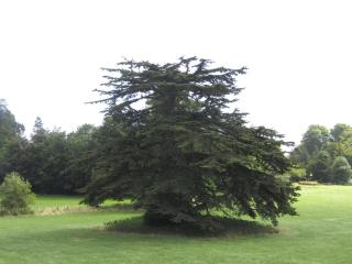 Home Farm Boreham - Warminster - 4