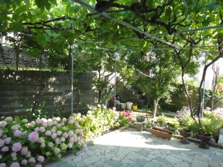 Apartments Dijana - 1