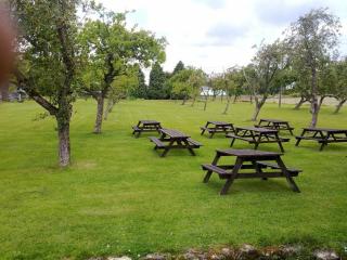 Cross Hands Hotel by Greene King Inns - Yate - 9