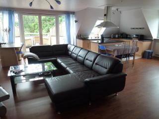 Moderne Maisonette-Wohnung am Karpfenteich; modern Apartment with view of the carp pond - Barmstedt - 2