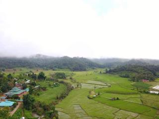 Mong Homestay Resort - 3