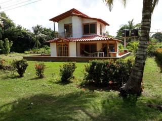 El palmar azul - 9