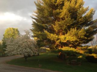 Harwood Hill Motel - Bennington - 3