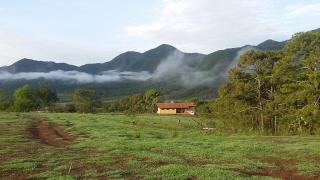 Casa Moonbeam - Mascota - 9