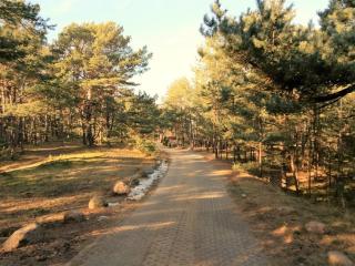 Apt Perlowy - Apartamenty Wypoczynkowe - 1