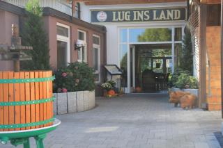 Lug ins Land Restaurant & Ferienwohnungen - Bad Bellingen - 2