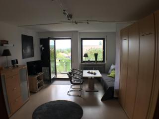 schwarzwald-apartment - Schönwald - 8