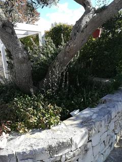 Trullo Monte Del Sale - 4