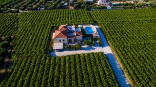 Cretan Vineyard Hill Villa - 9