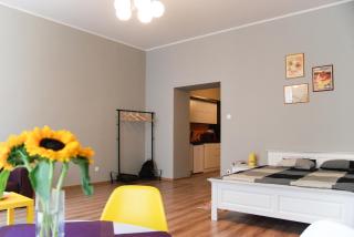 Apartment City Centre Timisoara - 4