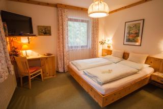 Haus Petersmann - Ramsau am Dachstein - 5