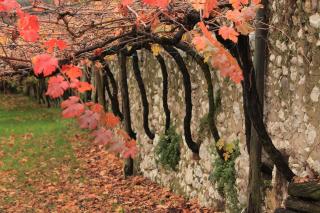 Biker's Wine House - Rovereto - 8