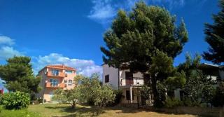 Villa Palas Apartments - Rogoznica - 6