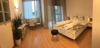 Living Apartment Central - 4