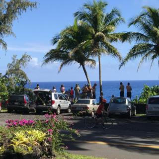 Whale House at Kehena Beach - Pahoa - 7