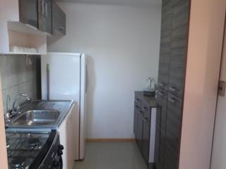 Los Arrayanes de Harnecker - 5